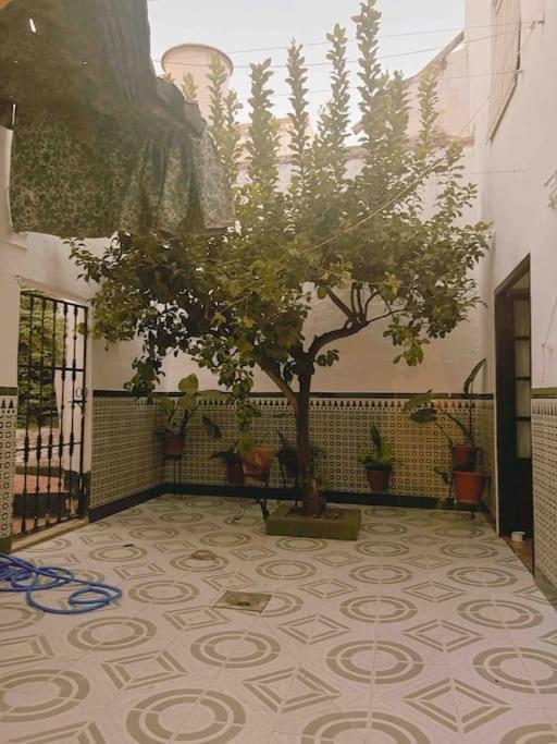 La Casa De Manolita Villa Baena Exteriör bild